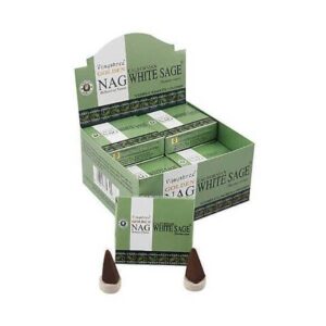 Cones de Sálvia Branca | Golden Nag